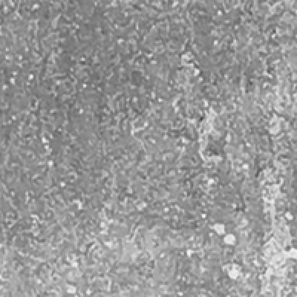 KK Beton Toledo Vario melírozott andezit térkő